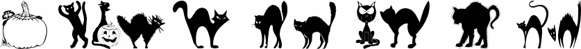 101! Black KatZ