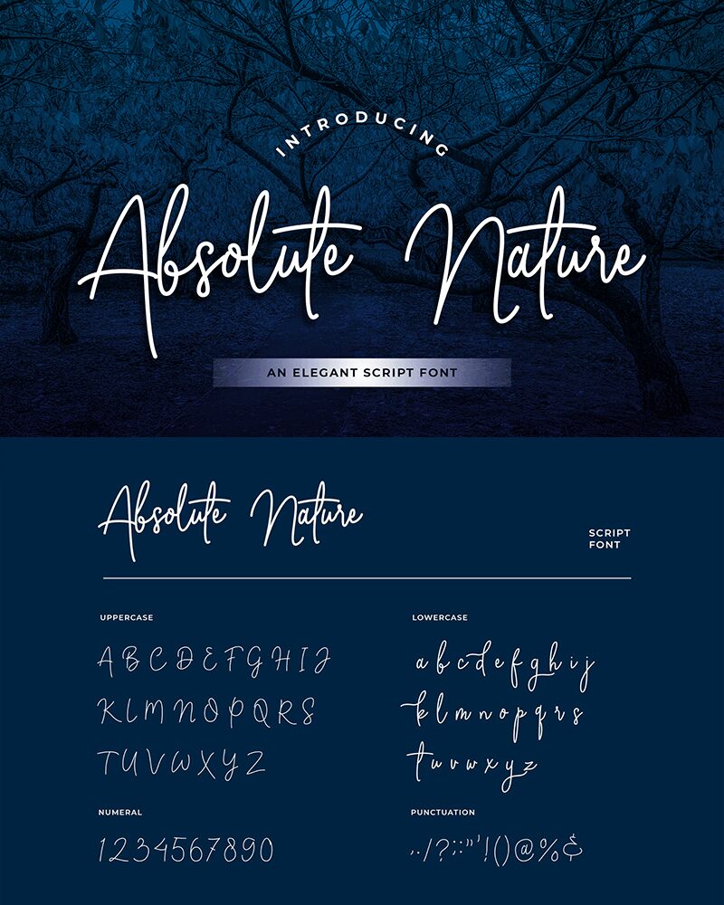 Absolute Nature الخط 