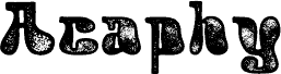 Acaphy Stamp Demo Regular