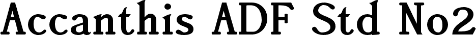 AccanthisADFStdNo2-Bold