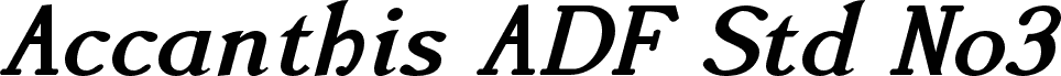 AccanthisADFStdNo3-BoldItalic