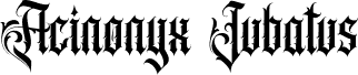 AcinonyxJubatusPersonalUseOnly- font