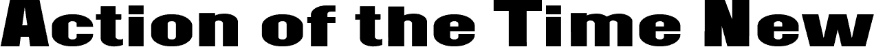 Preview of the Action of the Time New Bold font