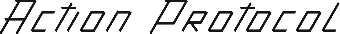 Action Protocol Italic