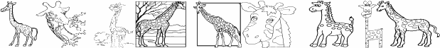 AEZ giraffes