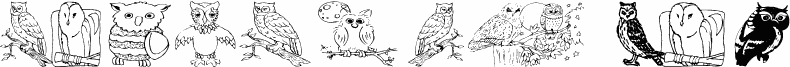 AEZ Owls for Traci