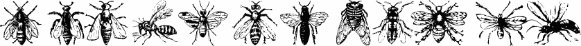 AEZinsects