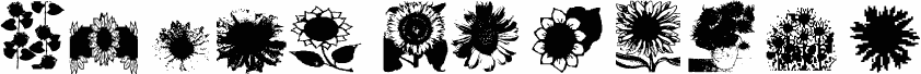 AEZsunflowers