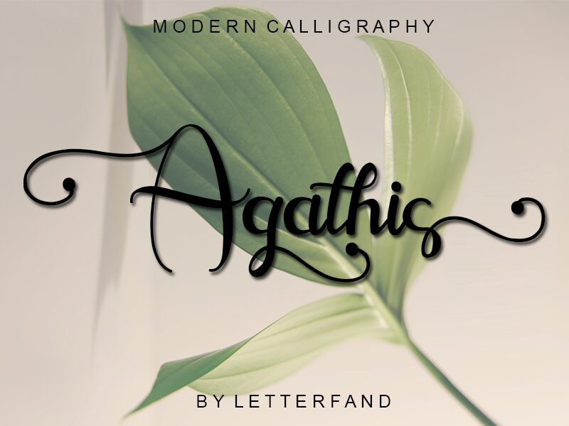 Agathis Font