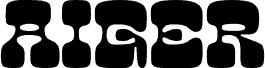 Aiger