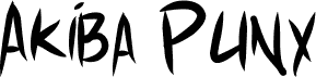 Akiba Punx