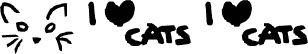 All things CAT!