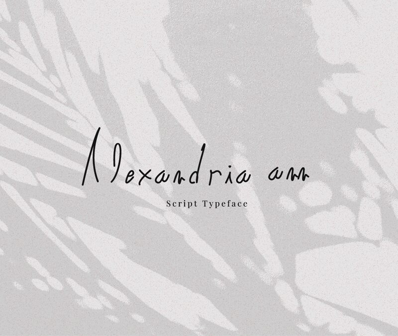 alexandria ann الخط