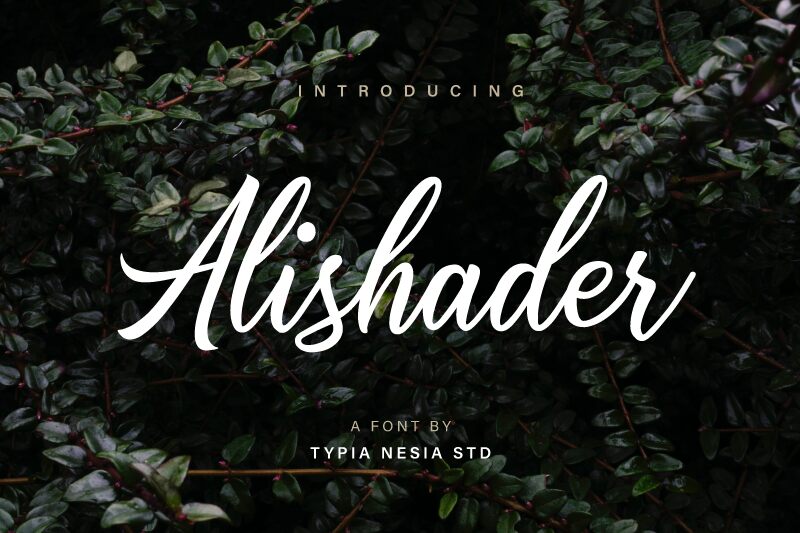 Alishader Schriftart