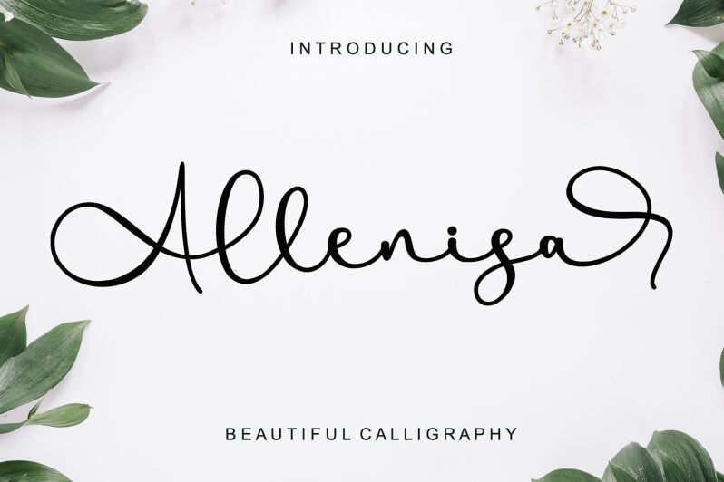 Allenisa Carattere