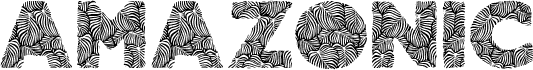 AMAZONIC PERSONAL USE Bold