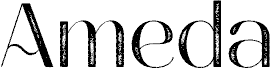 Ameda Demo Stamp
