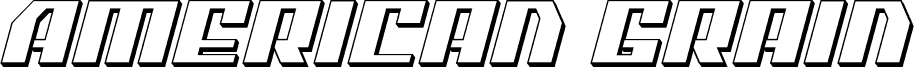 American Grain 3D Italic