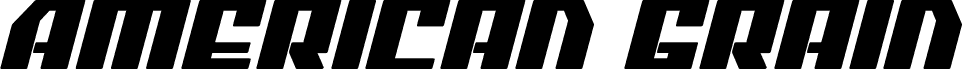 American Grain Bold Italic