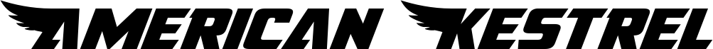 Preview of the American Kestrel Expanded font
