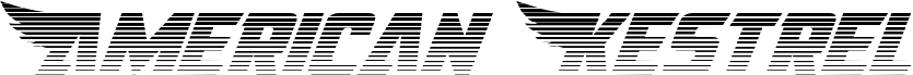 Preview of the American Kestrel Gradient font
