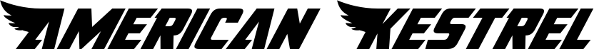 Preview of the American Kestrel Italic font