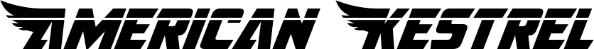 Preview of the American Kestrel Laser font