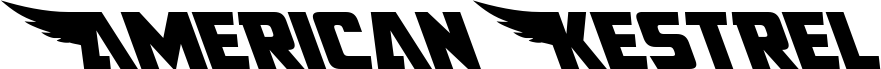 Preview of the American Kestrel Leftalic font