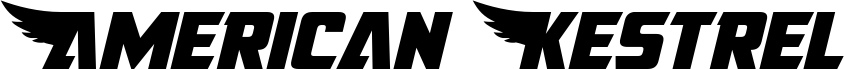 Preview of the American Kestrel Semi-Straight font