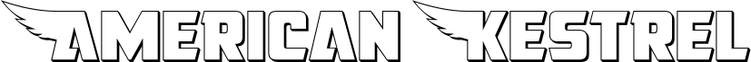 Preview of the American Kestrel Straight 3D font