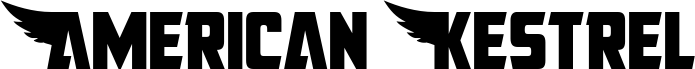 Preview of the American Kestrel Straight Cond font