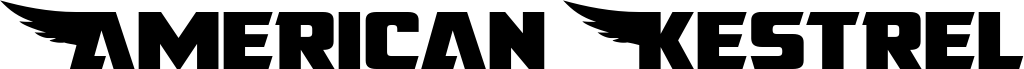 Preview of the American Kestrel Straight Exp font