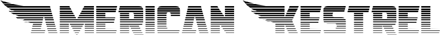 Preview of the American Kestrel Straight Grad font