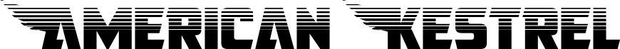 Preview of the American Kestrel Straight Half font