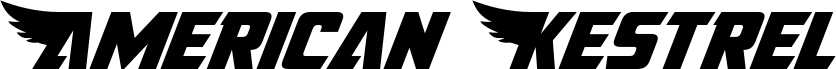 Preview of the American Kestrel font