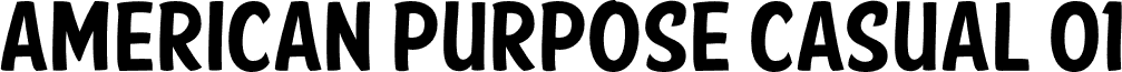 American Purpose Casual 01