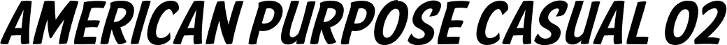 American Purpose Casual 02