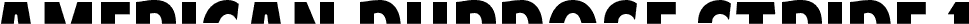 American Purpose STRIPE 1 Normal Italic