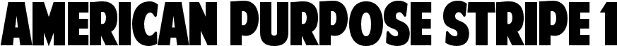 American Purpose STRIPE 1 Normal