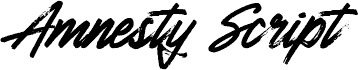 Amnesty Script