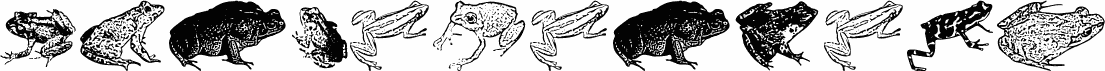 AmphibiPrint
