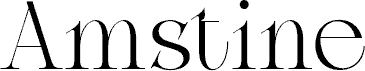 AmstineDEMO
