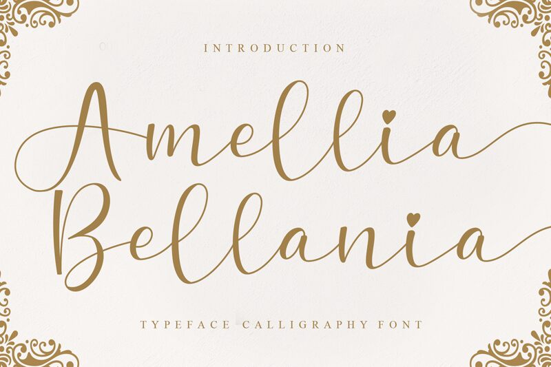 Amellia Bellania font | Fonts2u.com