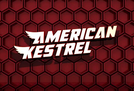 American Kestrel Carattere