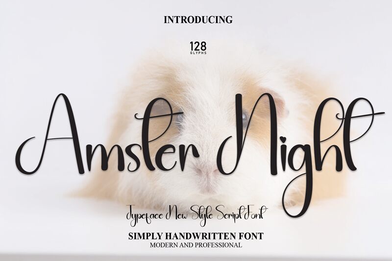 Amster Night フォント