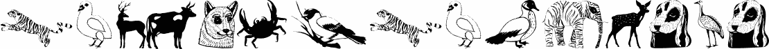 AnimalsAnywhere