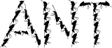 Ant