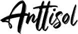 Anttisol