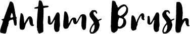 AntumsBrush