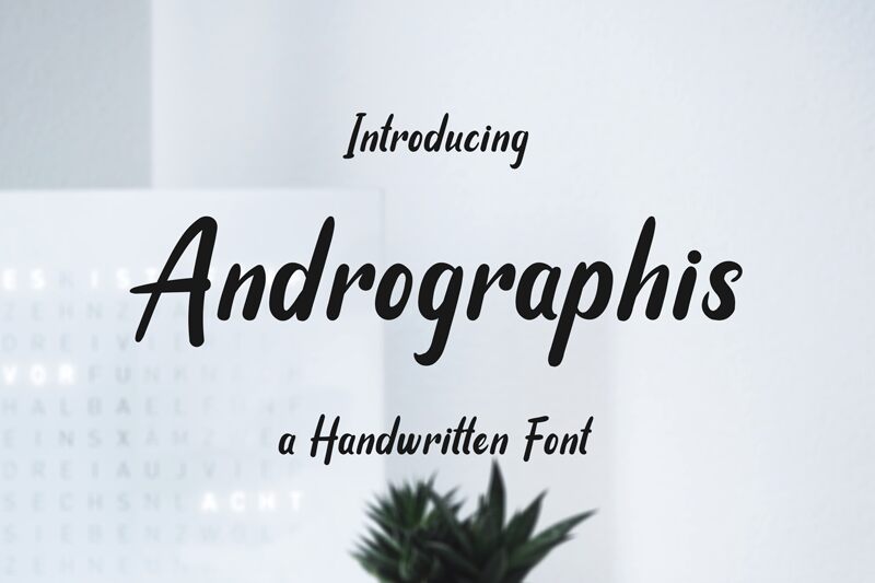 Andrographis Druh písma